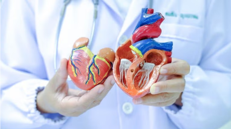 MiRus treats first patients in STAR trial of Siegel 8-French heart valve